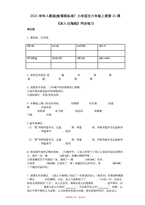 小学语文-有答案-人教版(新课程标准)小学语文六年级上册第21课《老人与海鸥》同步练习