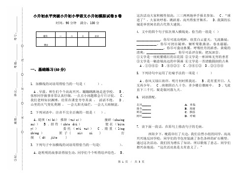 小升初水平突破小升初小学语文小升初模拟试卷B卷