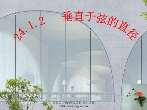 人教版九年级上册第二十四章圆课件+导学案+全册教案-10