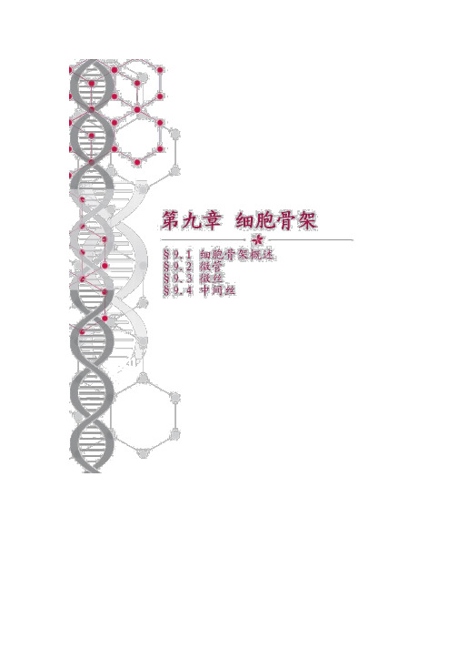 第9章 细胞骨架