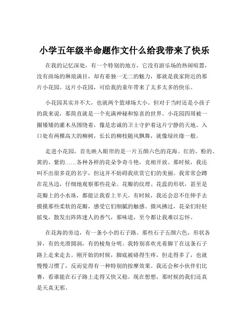 小学五年级半命题作文什么给我带来了快乐