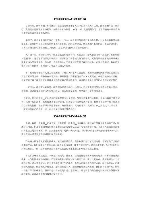 矿业公司新员工入厂心得体会3篇