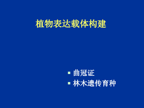 基因工程 载体构建