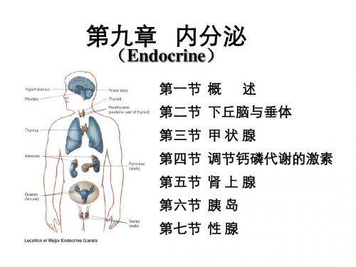 9.内分泌