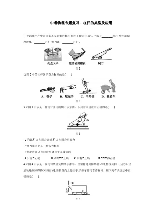 中考物理专题复习：杠杆的类型及应用