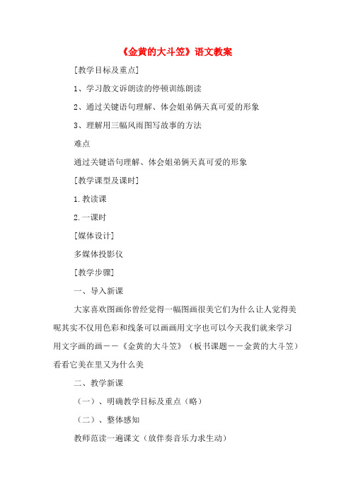 《金黄的大斗笠》语文教案