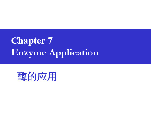 2015酶工程第7章酶的应用