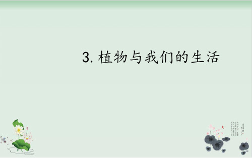 三年级科学下册课件植物与我们的生活 冀人版