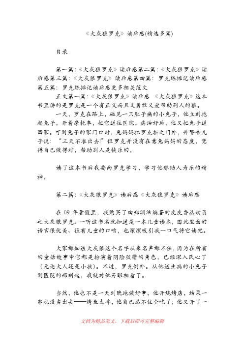 《大灰狼罗克》读后感(精选多篇)[精品范文].doc