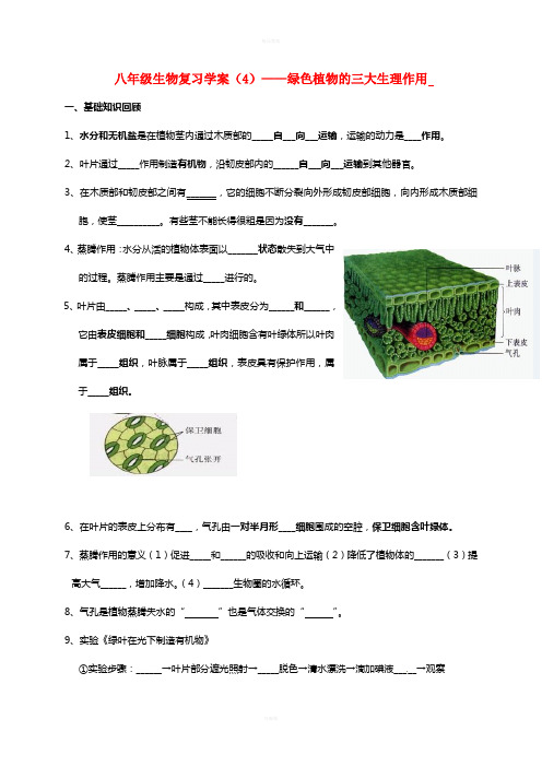 八年级生物复习学案4(绿色植物的三大生理作用)