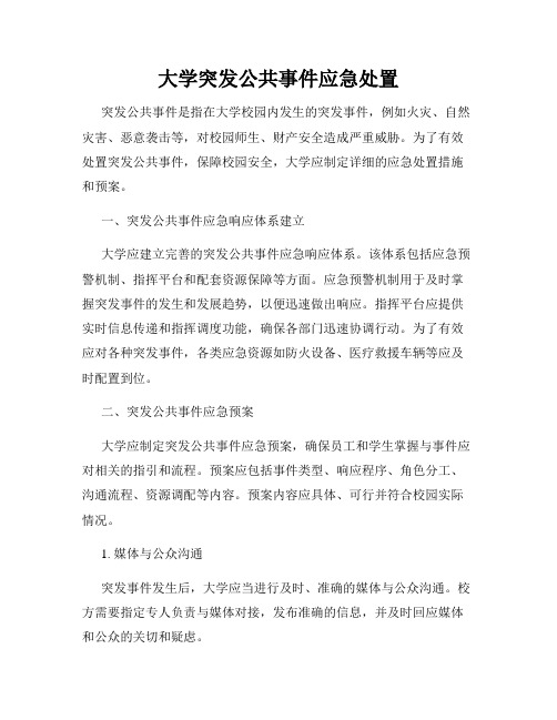 大学突发公共事件应急处置