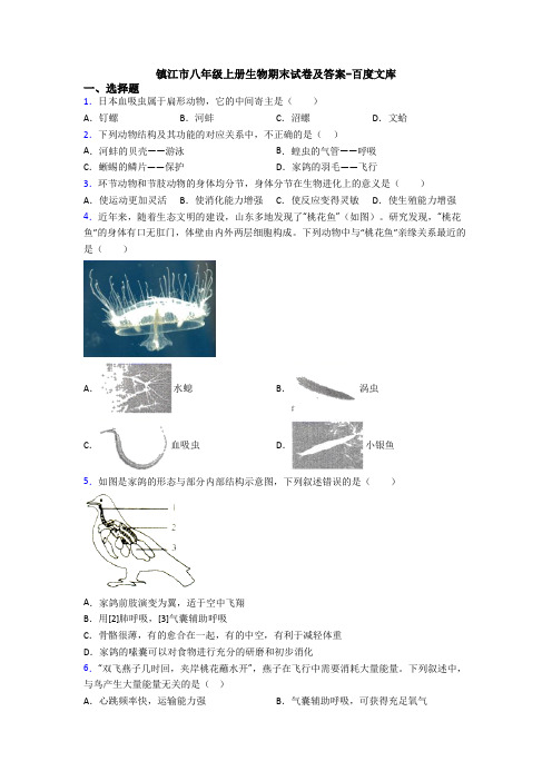 镇江市八年级上册生物期末试卷及答案-百度文库