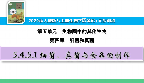 八上生物学霸笔记+同步训练5.4.5.1 细菌、真菌与食品的制作