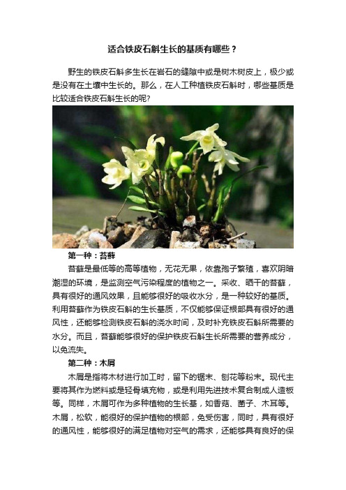 适合铁皮石斛生长的基质有哪些？