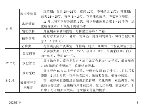 草莓地土壤消毒活化技术解决草莓重茬问题