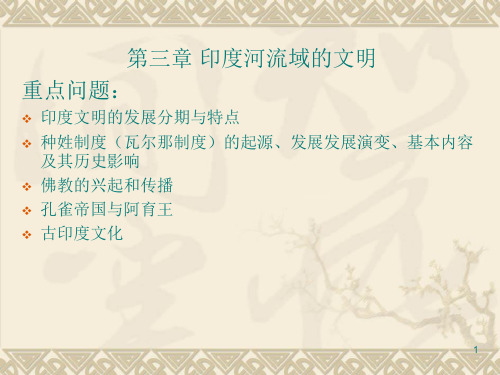 印度河流域的文明ppt课件