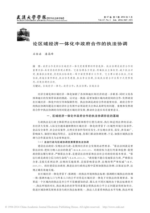 论区域经济一体化中政府合作的执法协调