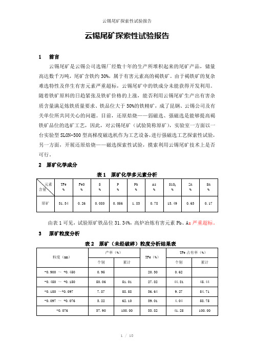 云锡尾矿探索性试验报告参考模板