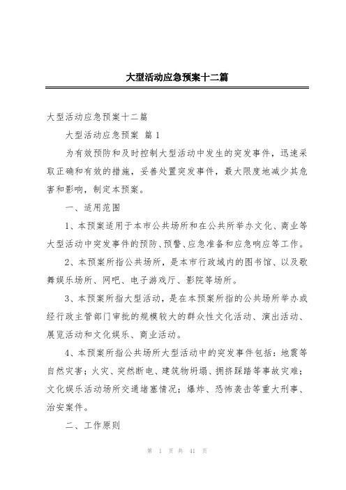 大型活动应急预案十二篇