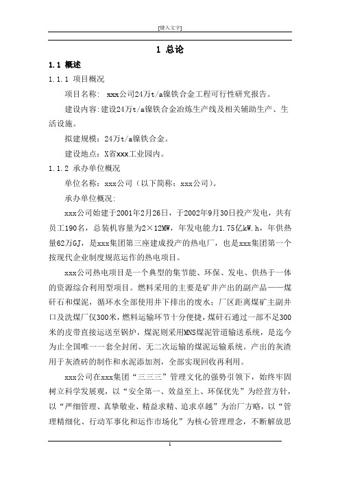 镍铁合金工程可行性研究报告