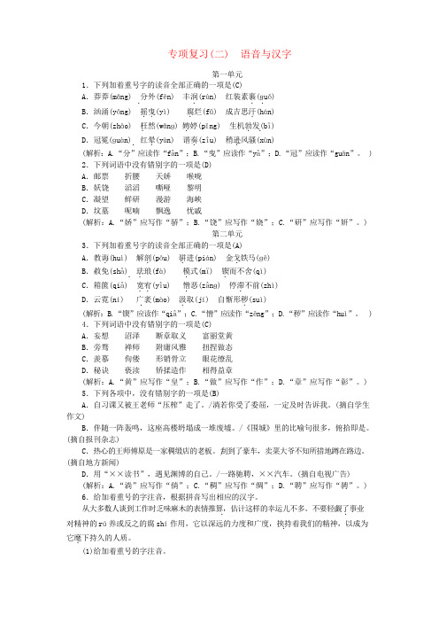 部编版人教版九年级语上册专项复习二 语音与汉字