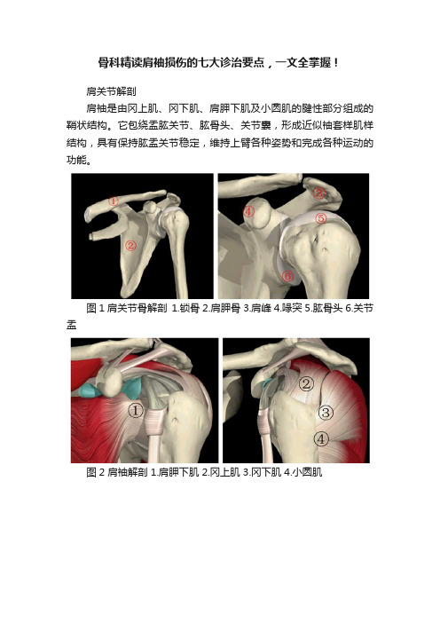 骨科精读肩袖损伤的七大诊治要点，一文全掌握！