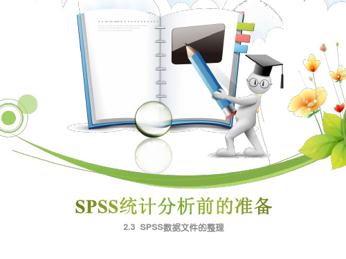 SPSS数据文件的整理