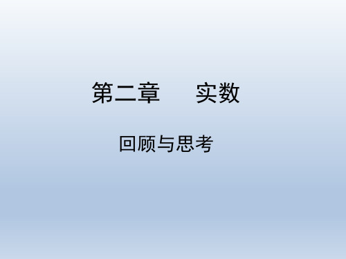 北师大版八年级数学上册《实数》回顾与思考课件