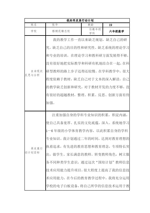 我的再发展行动计划