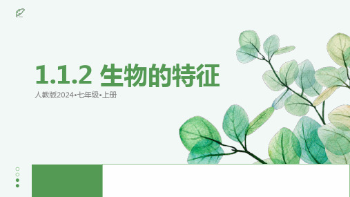 生物的特征+课件-2024-2025学年人教版生物七年级上册