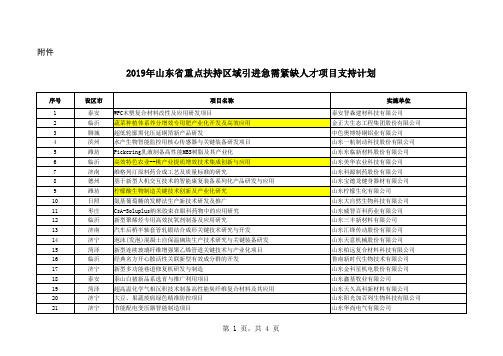 文件-2019年山东省重点扶持区域引进急需紧缺人才项目支持计划