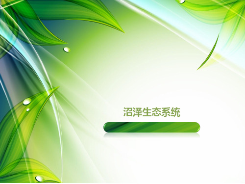沼泽生态系统