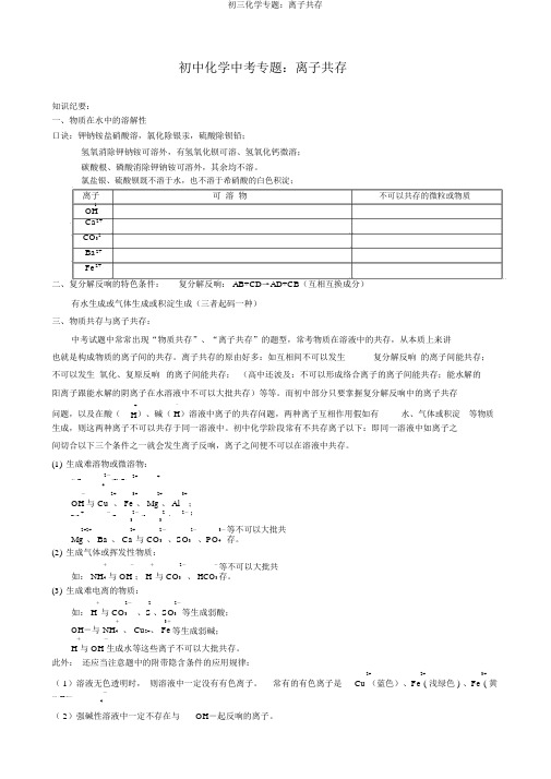 初三化学专题：离子共存