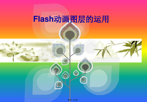 公开课FLASH图层(共12张PPT)