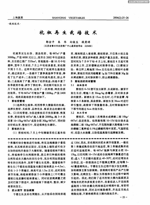 杭椒再生栽培技术
