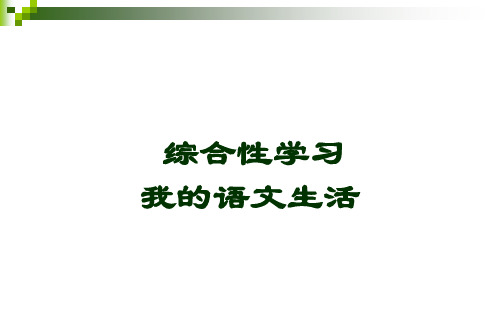 六年级下册语文综合性学习我的语文生活获奖说课课件ppt