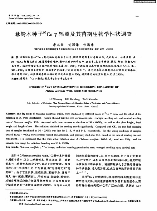 悬铃木种子 60Coγ辐照及其苗期生物学性状调查