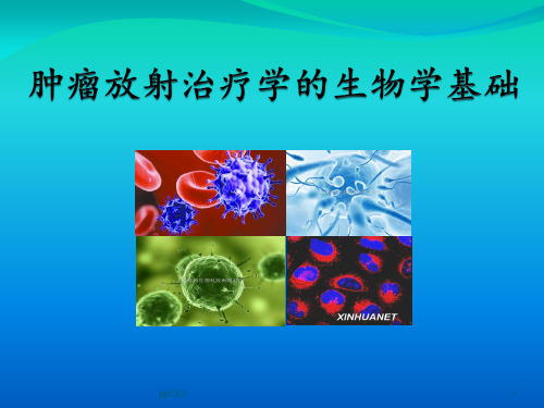 肿瘤放射治疗学的生物学基础  ppt课件