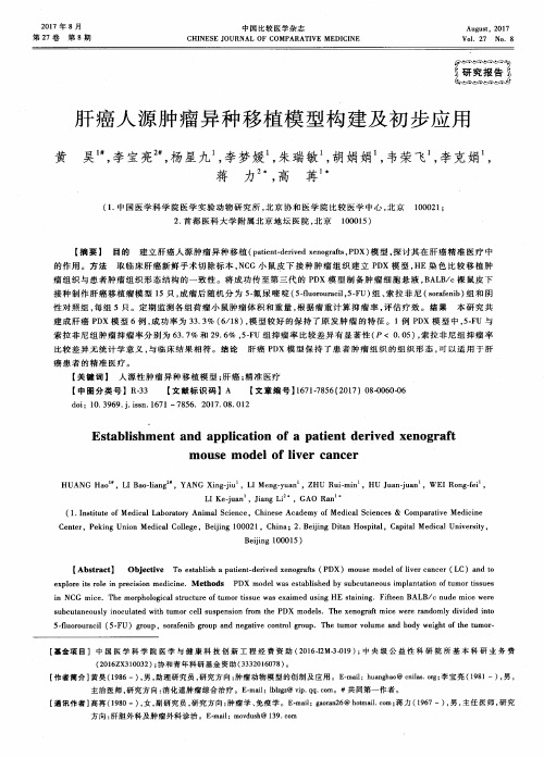 肝癌人源肿瘤异种移植模型构建及初步应用