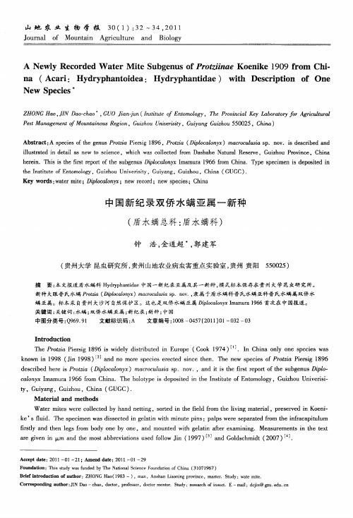 中国新纪录双侨水螨亚属一新种(盾水螨总科：盾水螨科)(英文)