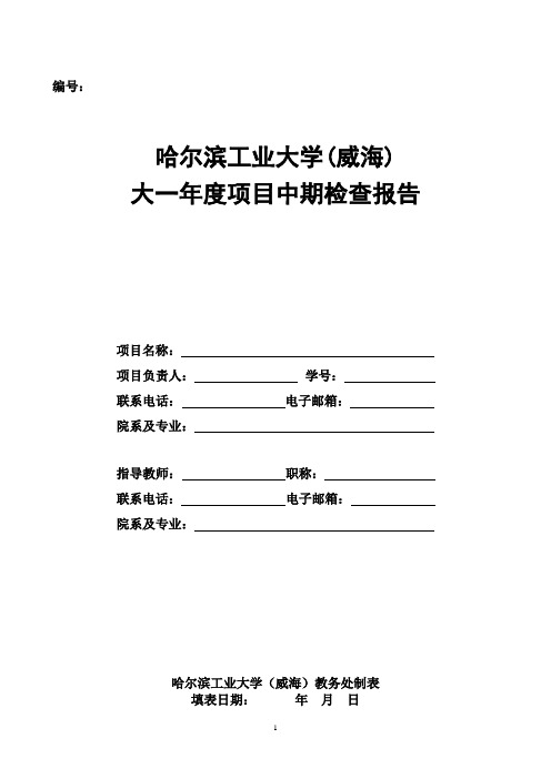 哈尔滨工业大学(威海)大一年度项目中期检查报告