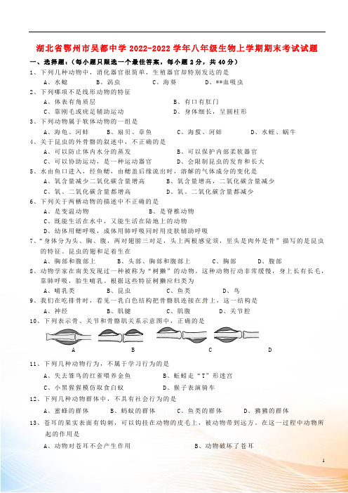 湖北省鄂州市吴都中学2022-2022学年八年级生物上学期期末考试试题 新人教版