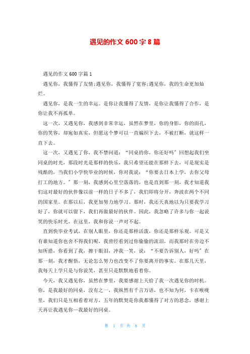 遇见的作文600字8篇