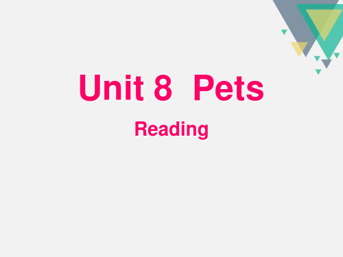 PetsReading课件新教材