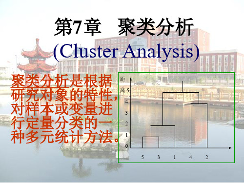 第7章 聚类分析