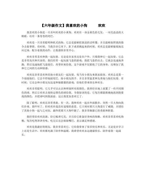 【六年级作文】我喜欢的小狗      欢欢