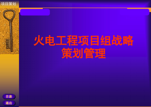 火电工程项目组总体策划管理