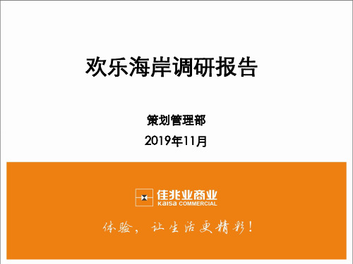 2019年深圳欢乐海岸调研报告-PPT精品文档