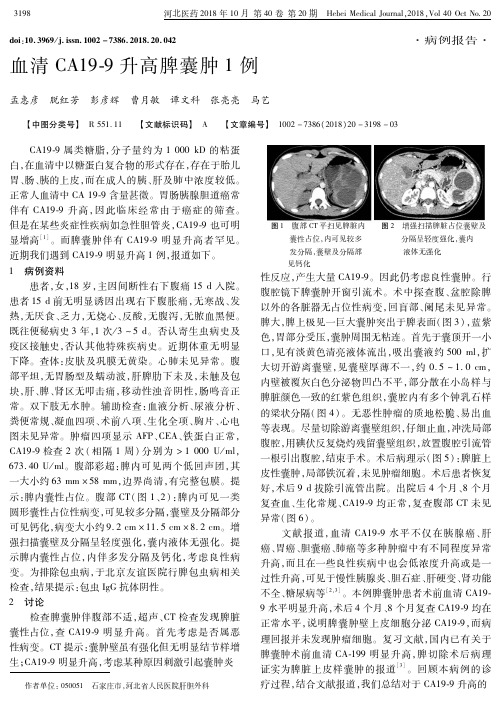 血清CA19-9升高脾囊肿1例