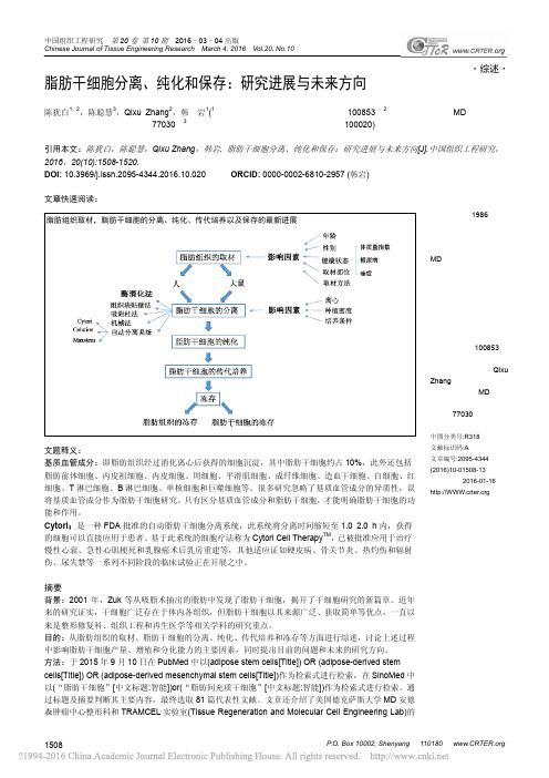 脂肪干细胞分离_纯化和保存_研究进展与未来方向_陈犹白